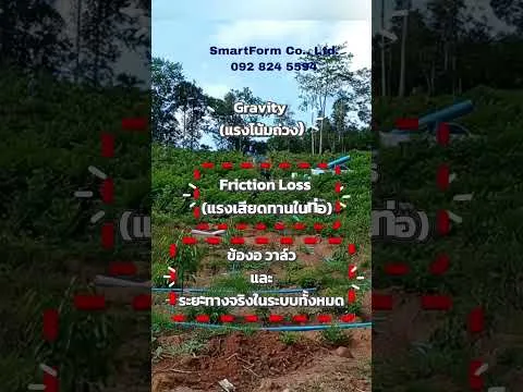 เลือกประเภทปั๊มให้ตรงกับแรงดันของระบบ